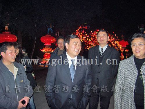 自贡市委、市政府领导视察灯会