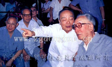 时任国家主席的杨尚昆